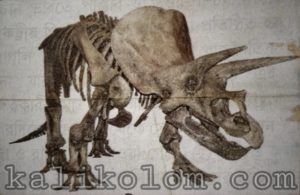 Ancient animal skeleton