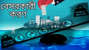 বেসরকারীকরণ এর সুবিধা ও অসুবিধা