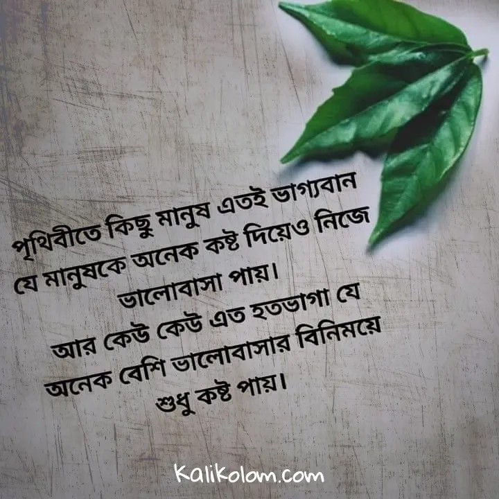 Status Bangla For Facebook & WhatsApp