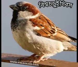 বিশ্ব চড়ুই দিবস 2022
