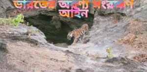 ভারতে কিভাবে অরণ্য সংরক্ষণ করা হয়? ভারতের অরণ্য সংরক্ষণের উপায়গুলি কী কী?