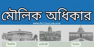 মৌলিক অধিকার: গুরুত্ব এবং সারাংশ