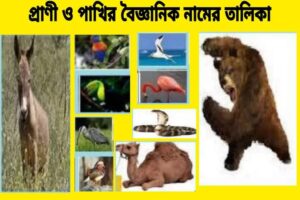 প্রাণী ও পাখির বৈজ্ঞানিক নামের তালিকা