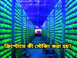 ক্রিপ্টোতে কী স্টেকিং করা হয়?
