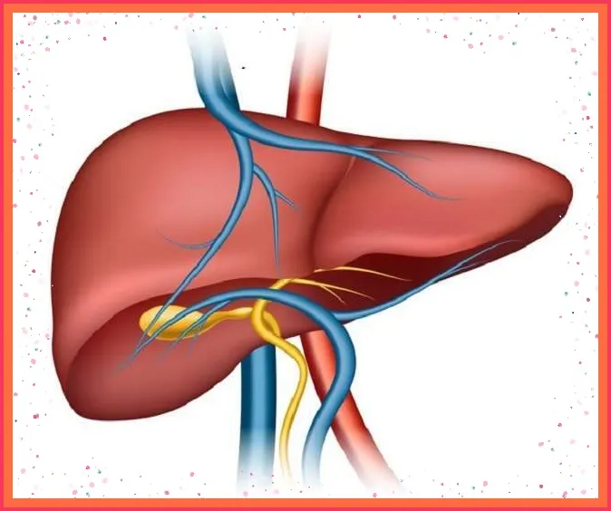 বিশ্ব লিভার দিবস 2022