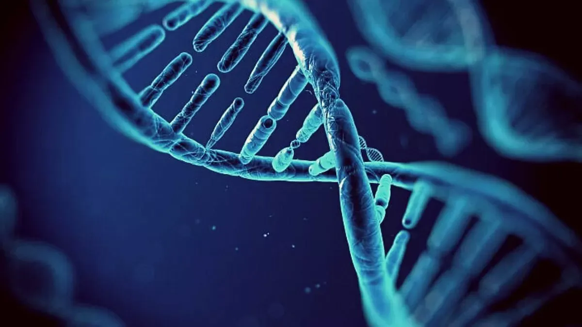 DNA - গঠন ও কার্যাবলী
