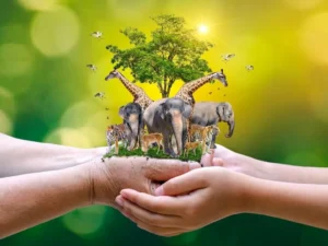 বিশ্ব প্রাণী দিবস 2022: থিম, ইতিহাস, তাৎপর্য