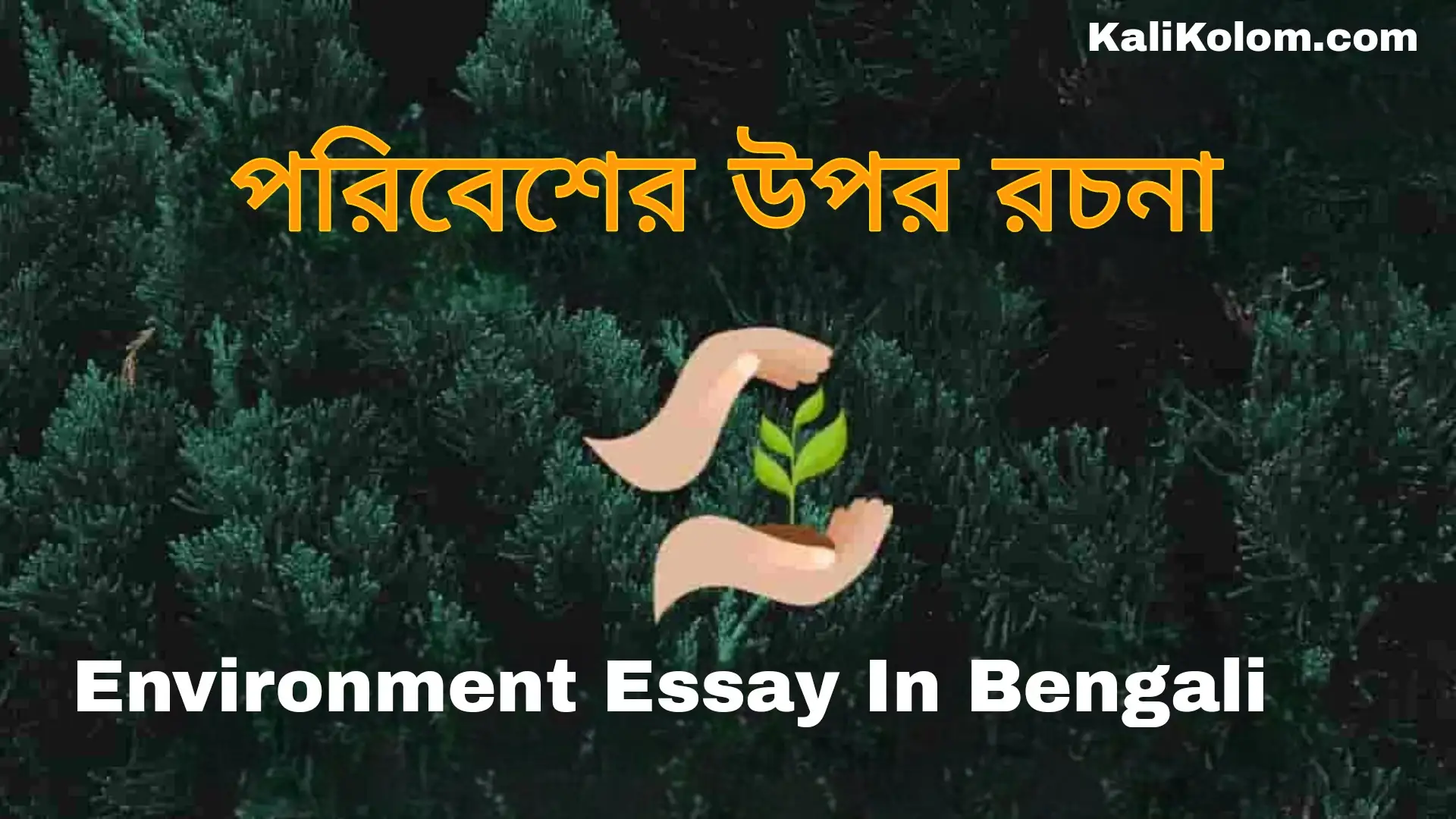 school essay in bengali