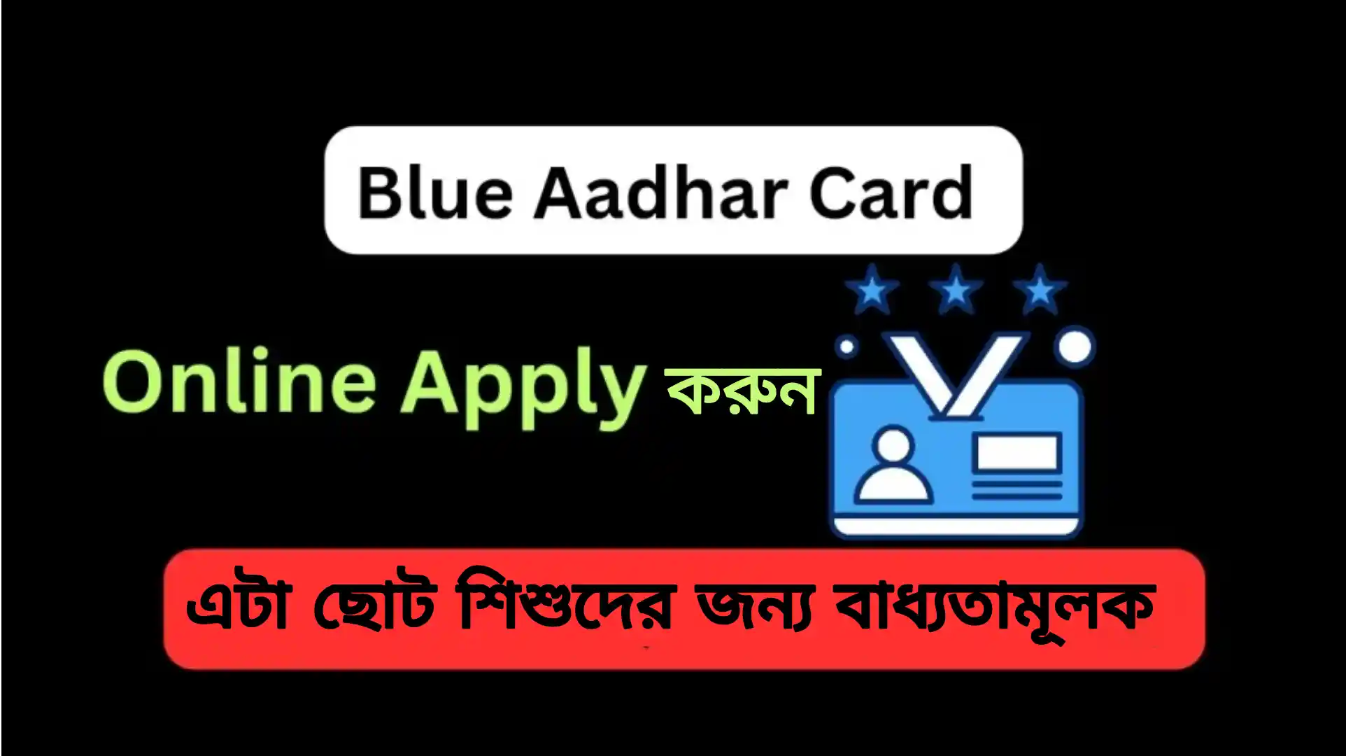 Blue Aadhar Card 2024