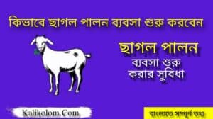 Goat Farming Business In Bengali
