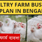 Poultry Farm Business Plan in Bengali