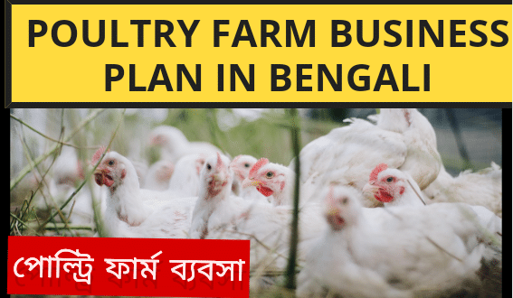 Poultry Farm Business Plan in Bengali