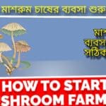 কিভাবে মাশরুম চাষের ব্যবসা শুরু করবেন (Mushroom Farming In Bengali)