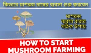 কিভাবে মাশরুম চাষের ব্যবসা শুরু করবেন (Mushroom Farming In Bengali)