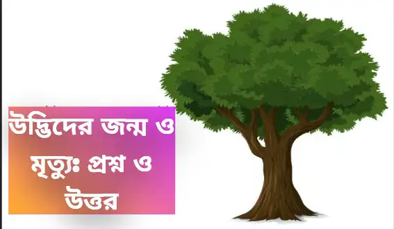 উদ্ভিদের জন্ম ও মৃত্যু: প্রশ্ন ও উত্তর