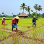 কৃষক বন্ধু টাকা ঢুকেছে কিনা