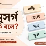 অনুসর্গ কাকে বলে? কত প্রকার ও কী কী (উদাহরণসহ) PDF Download