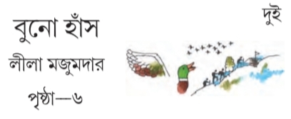 বুনো হাঁস