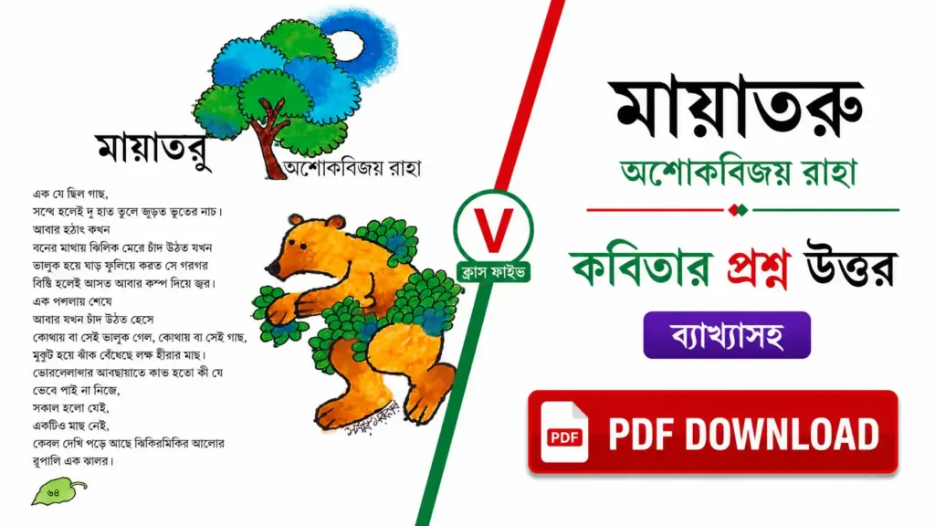 মায়াতরু কবিতার প্রশ্ন উত্তর