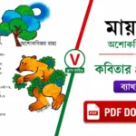 মায়াতরু কবিতার প্রশ্ন উত্তর