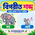 বিপরীত শব্দ তালিকা Class 6 PDF